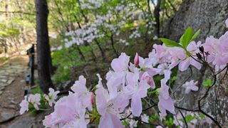 소백산오가피님의 자유주제 · 사진전 작성글 사진