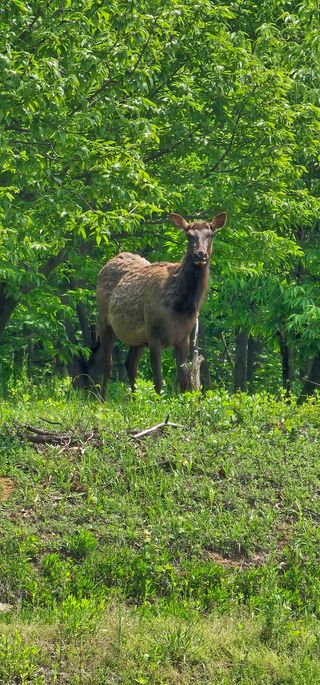 알 수 없음님의 감자 · 자유게시판 작성글 사진