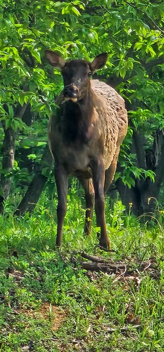 알 수 없음님의 감자 · 자유게시판 작성글 사진