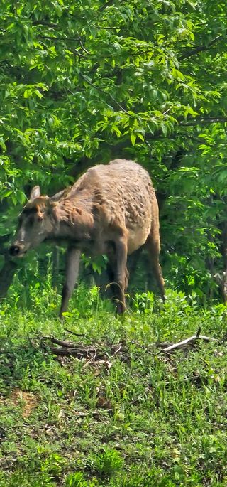 알 수 없음님의 감자 · 자유게시판 작성글 사진