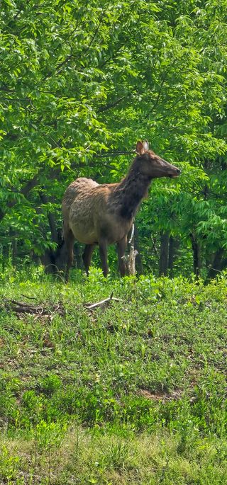 알 수 없음님의 감자 · 자유게시판 작성글 사진
