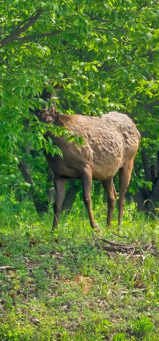 알 수 없음님의 감자 · 자유게시판 작성글 사진