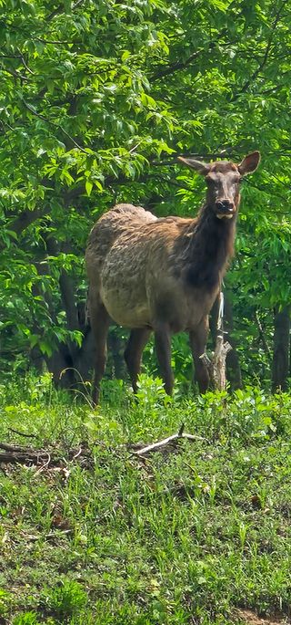 알 수 없음님의 감자 · 자유게시판 작성글 사진
