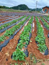 팜모닝 자유주제·사진전 게시글 이미지