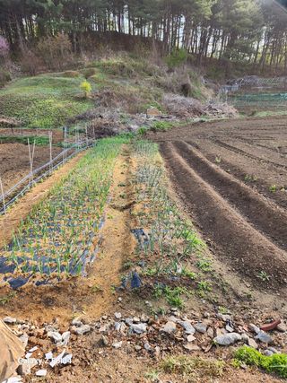 임대운님의 작성글 사진