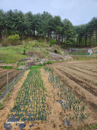 임대운님의 작성글 사진