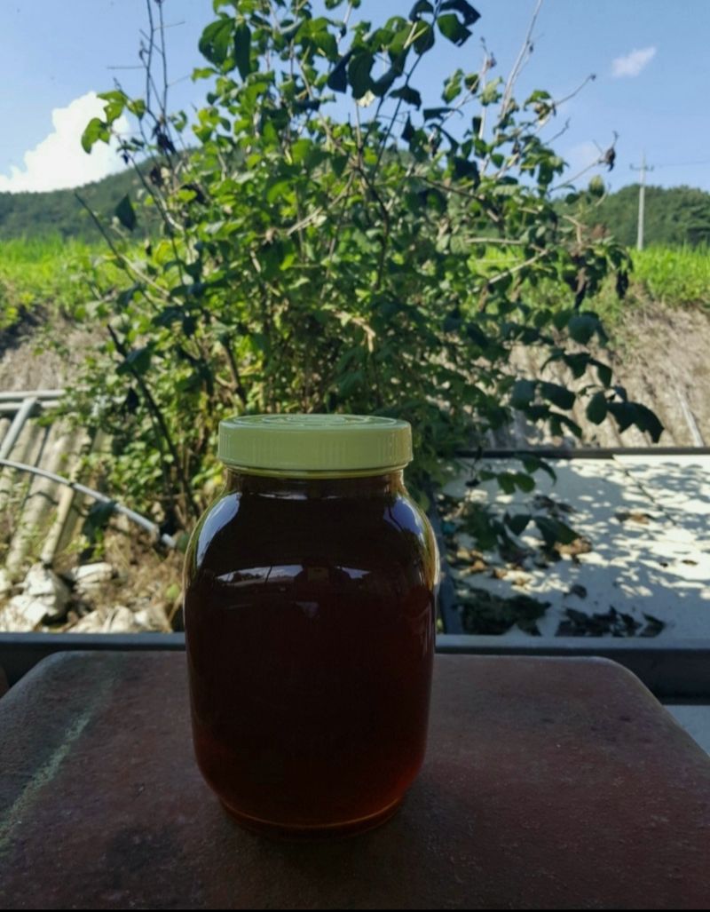 벌꿀농장♡권은주님의 장터 판매 상품 [기력충전! 순수 햇아카시아꿀,햇잡화꿀,밤꿀,햇로얄제리] 첨부 사진