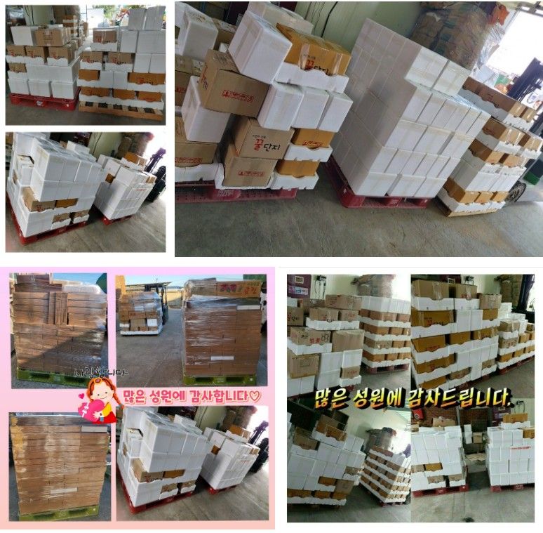 벌꿀농장♡권은주님의 장터 판매 상품 [기력충전! 순수 햇아카시아꿀,햇잡화꿀,밤꿀,햇로얄제리] 첨부 사진