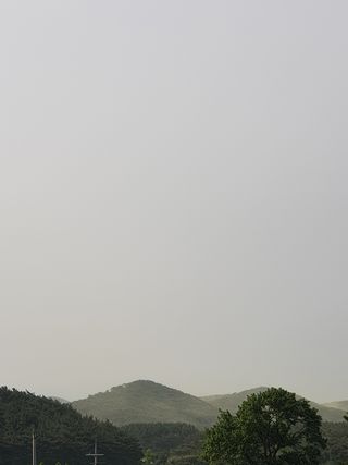 해당화님의 자유주제 · 자유게시판 작성글 사진