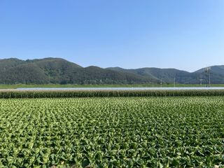 김영지님의 자유주제 · 사진전 작성글 사진
