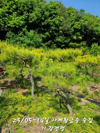 김재열님의 자유주제 · 사진전 작성글 사진