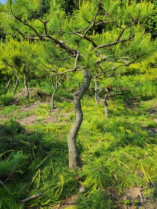 김재열님의 자유주제 · 사진전 작성글 사진