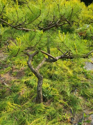 김재열님의 자유주제 · 사진전 작성글 사진