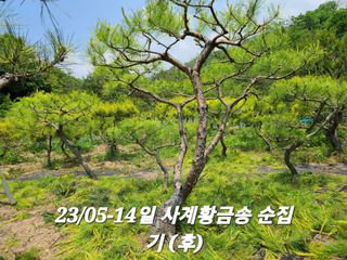 김재열님의 자유주제 · 사진전 작성글 사진