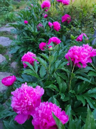 김재열님의 자유주제 · 사진전 작성글 사진