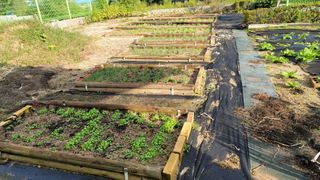 솔모루팜님의 자유주제 · 사진전 작성글 사진