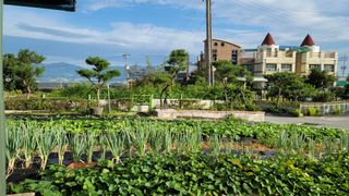 솔모루팜님의 자유주제 · 사진전 작성글 사진