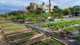 솔모루팜님의 자유주제 · 사진전 작성글 사진