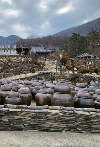 짱순이연속8월출석왕님의 자유주제 · 사진전 작성글 사진