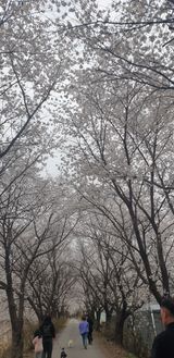 팜모닝 자유주제·사진전 게시글 이미지