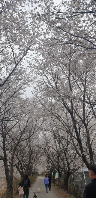 봄하루님의 자유주제 · 사진전 작성글 사진