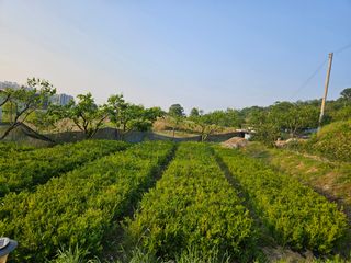 모란님의 자유주제 · 사진전 작성글 사진