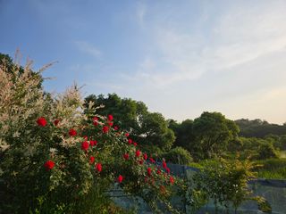 모란님의 자유주제 · 사진전 작성글 사진