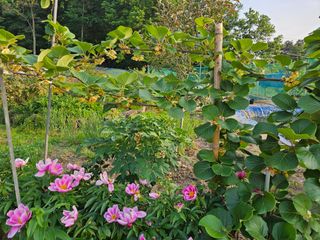 모란님의 자유주제 · 사진전 작성글 사진