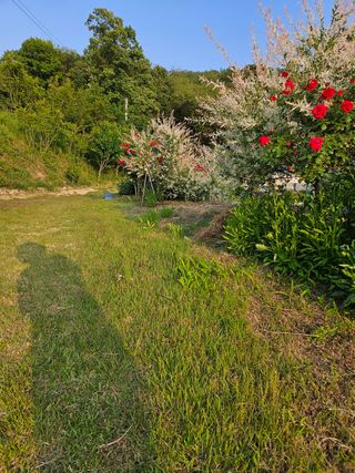 모란님의 자유주제 · 사진전 작성글 사진