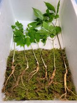 팜모닝 · 게시글 이미지