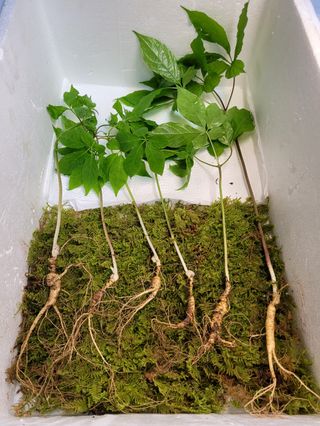 김봉호님의 작성글 사진