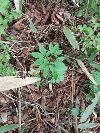 김봉호님의 작성글 사진
