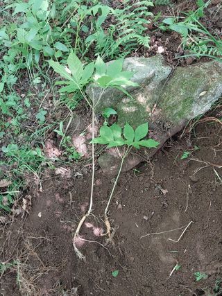 김봉호님의 작성글 사진