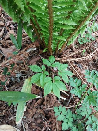 김봉호님의 작성글 사진