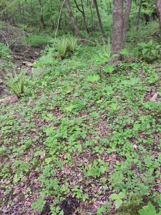 김봉호님의 작성글 사진