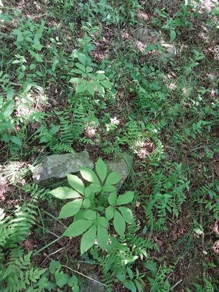 김봉호님의 작성글 사진