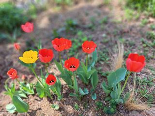 최창숙님의 자유주제 · 사진전 작성글 사진