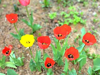 최창숙님의 자유주제 · 사진전 작성글 사진