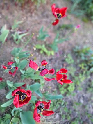 최창숙님의 자유주제 · 사진전 작성글 사진