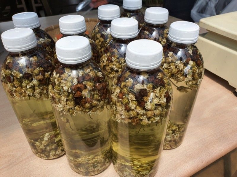 약초원 김종군님의 장터 판매 상품 [천연살충제 건조 제충국50g] 첨부 사진