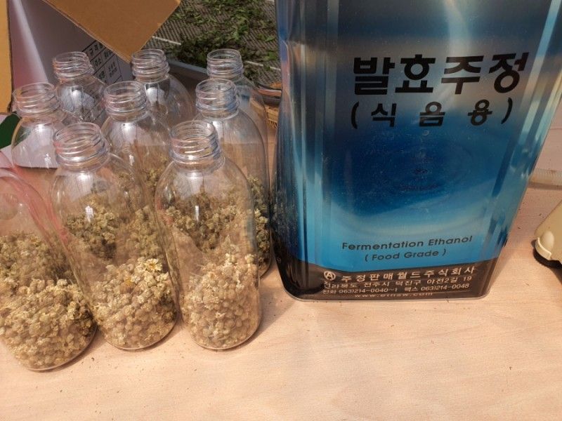 약초원 김종군님의 장터 판매 상품 [천연살충제 건조 제충국50g] 첨부 사진