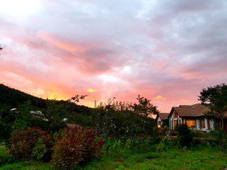 최창숙님의 자유주제 · 사진전 작성글 사진