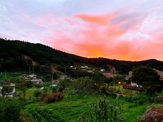 최창숙님의 자유주제 · 사진전 작성글 사진