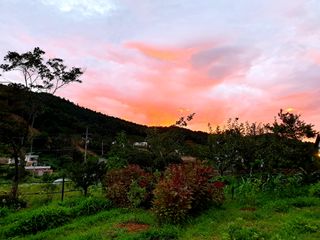 최창숙님의 자유주제 · 사진전 작성글 사진