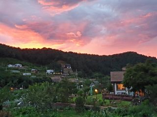 최창숙님의 자유주제 · 사진전 작성글 사진