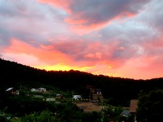 최창숙님의 자유주제 · 사진전 작성글 사진