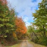 팜모닝 자유주제·사진전 게시글 이미지