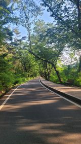 팜모닝 자유주제·사진전 게시글 이미지