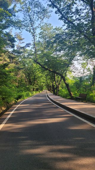 그린톡톡님의 자유주제 · 사진전 작성글 사진