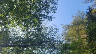 그린톡톡님의 자유주제 · 사진전 작성글 사진